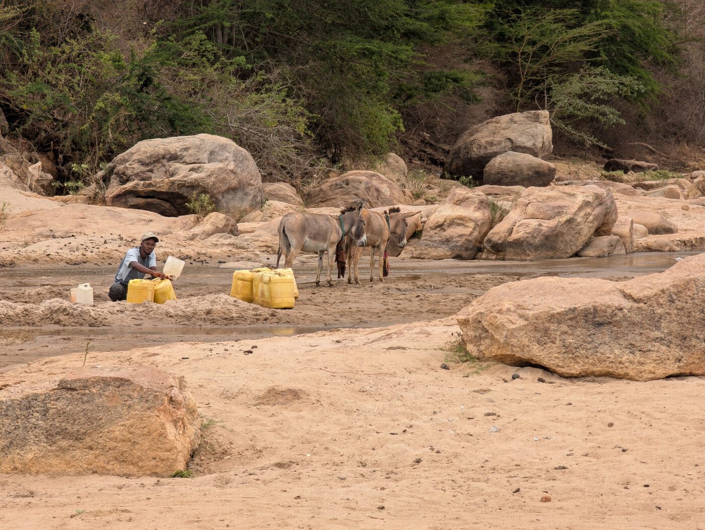 Restoring flow means restoring life — for people, animals and ecosystems.